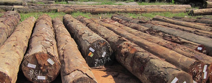 First VPA Lessons Shared event in Guyana welcomed by stakeholders