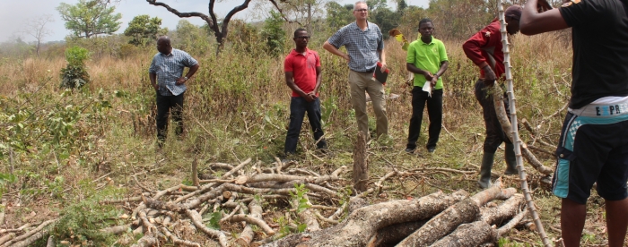 Ghana’s charcoal commodity chain soon to receive more attention 