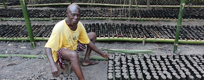 Private Tree Growers to Form Associations to Promote their Interest