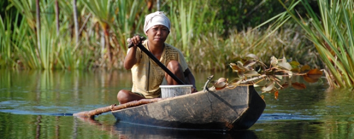 Forests and (‘middle players’) people