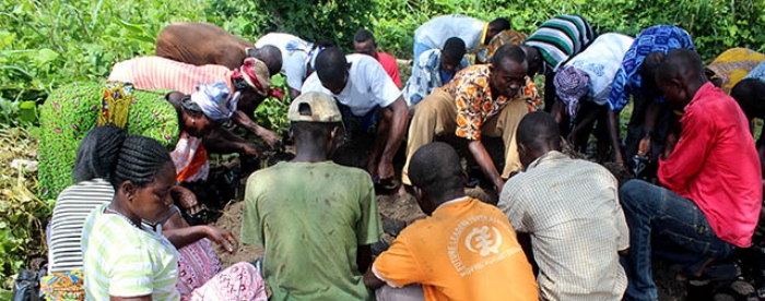 Chainsaw milling project undertakes capacity building activities to enhance alternative livelihoods