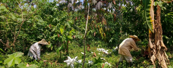 Inclusive landscape finance — Waking the sleeping giant