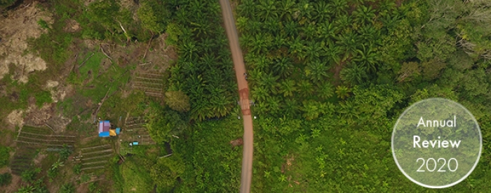 Toward an EU law on deforestation commodities