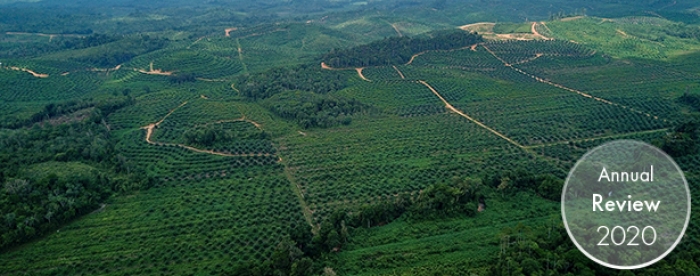 Tropenbos Indonesia key contributor to international HCV screening guide