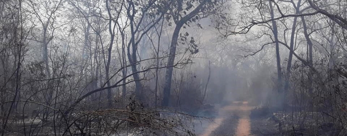 Working towards fire smart landscapes