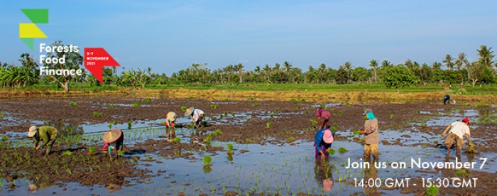 Developing an investment case for inclusive food system transformation