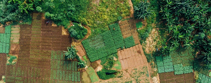 Green Finance for SMEs Guarantee Fund (GFS)