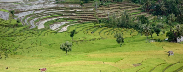 Turning away from investment-driven development - In conversation with Annelies Zoomers