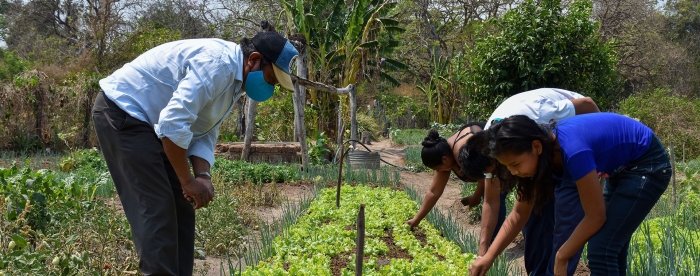 Smallholders as landscape stewards - In conversation with Pablo Pacheco