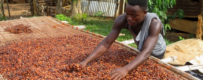 Don&rsquo;t fixate on smallholders - In conversation with Stefan Dercon