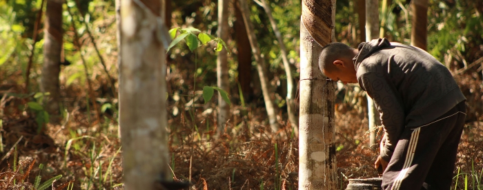 Increasing smallholder productivity-  In conversation with Rudy Rabbinge