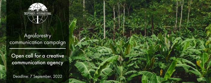 Agroforestry communication campaign – Open call