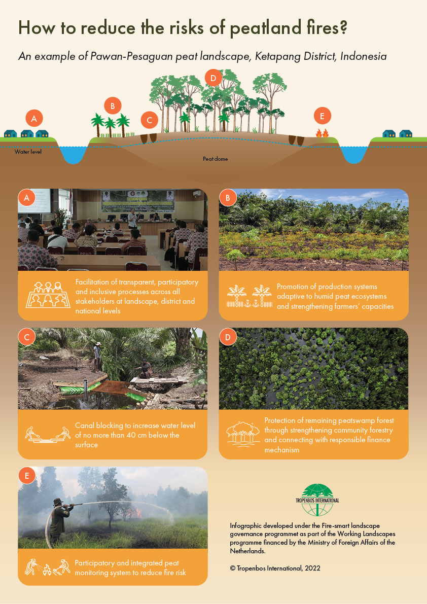 Reducing-peatland-fire-risks-indonesia-web.jpg