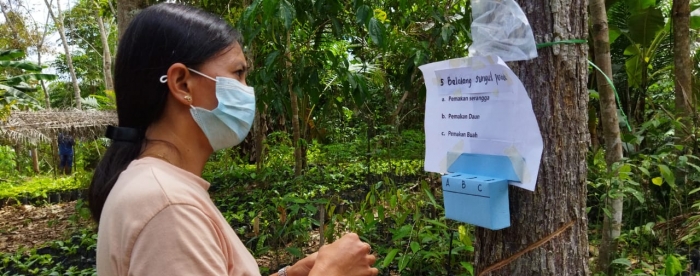 SUB: Participant during farmer field schools from Gema Village, West Kalimantan.