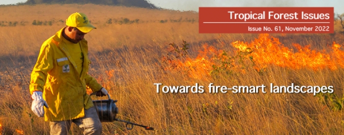 Tropical Forest Issues 61 - Towards fire-smart landscapes