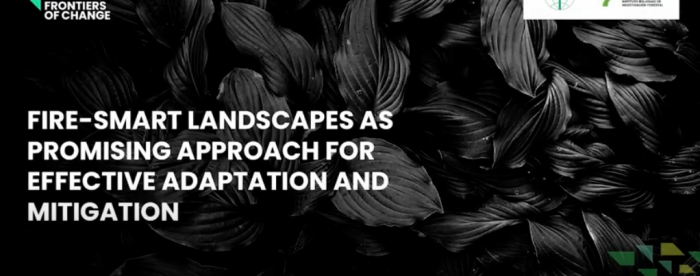 Fire-smart landscapes as promising approach for effective adaptation and mitigation