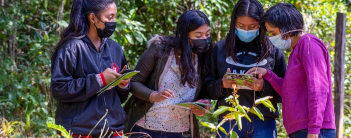 Indigenous youth of Guarayos now managing their own forests