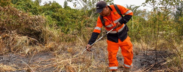 Reducing wildfire risks and impacts in Bolivia 