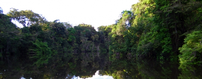 Strengthening communities for the participative formulation of management plans