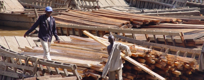 Artisanal timber logging 