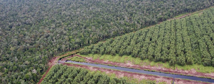 High Conservation Value assessment for the Kampar peninsula landscape