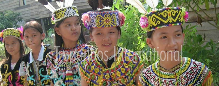 Jokowi’s sustainable community-based forest management