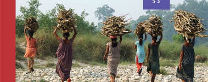 Moving Forward with Forest Governance