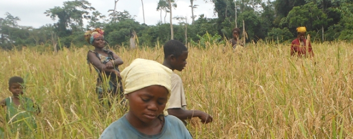 Community Forestry: an option for forest management