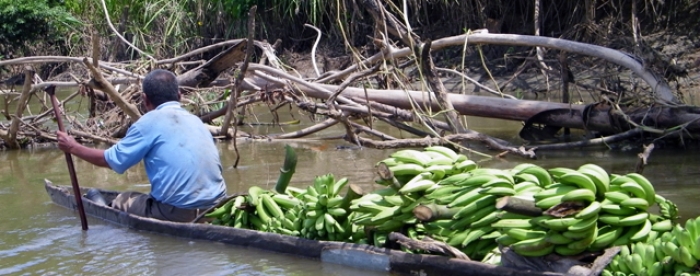 Making financing work for forests