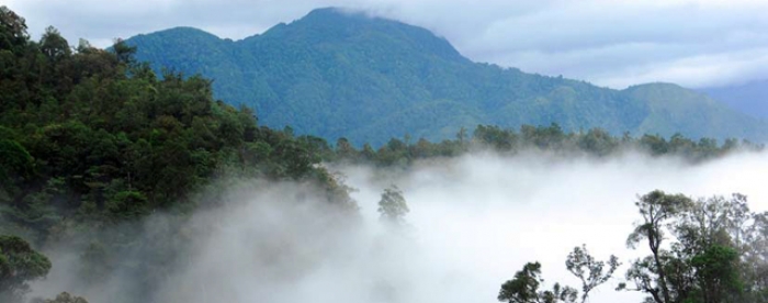 Involving local people in the restoration of landscapes